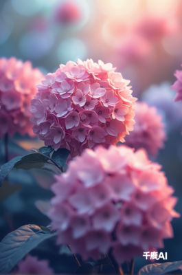 花团锦簇-相似图