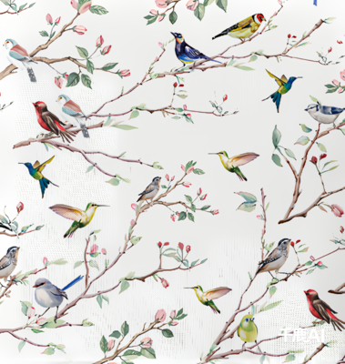 bird